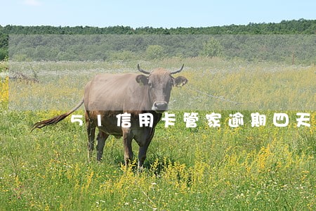 51信用卡管家逾期四天 51信用卡管家逾期四天