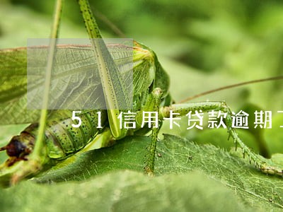 51信用卡贷款逾期了
