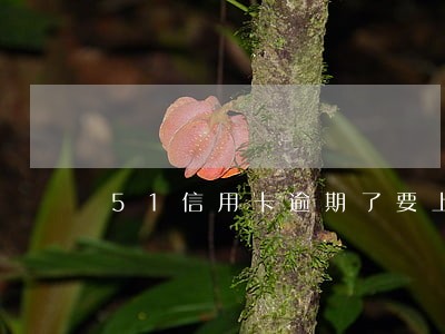 51信用卡逾期了要上门吗 51信用卡逾期了要上门吗