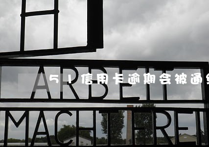 51信用卡逾期会被通缉吗 51信用卡逾期会被通缉吗