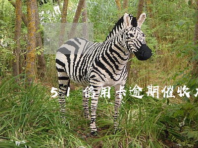 51信用卡逾期催收太恶心了 51信用卡逾期催收太恶心了