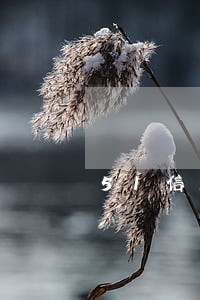 51信用卡逾期怎么办 51信用卡逾期怎么办