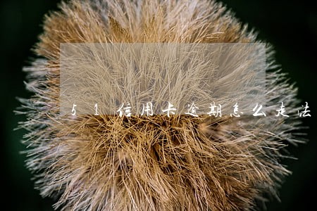 51信用卡逾期怎么走法律程序