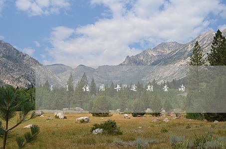 51信用卡逾期查询