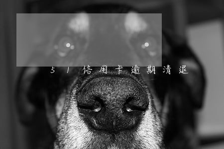 51信用卡逾期清退 51信用卡逾期清退
