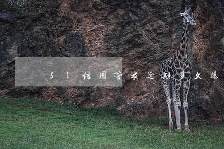 51信用管家逾期多久爆你
