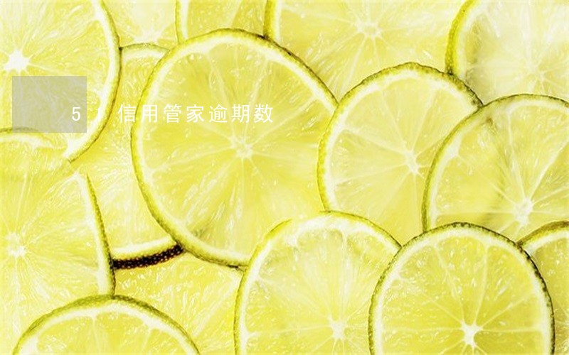 51信用管家逾期数 51信用管家逾期数