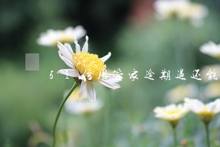 51信用管家逾期过还能贷吗 51信用管家逾期过还能贷吗