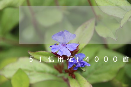 51信用花14000逾期 51信用花14000逾期