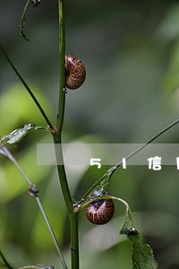 51信用逾期上征信吗 51信用逾期上征信吗
