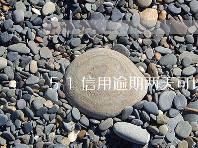 51信用逾期两天可以吗 51信用逾期两天可以吗