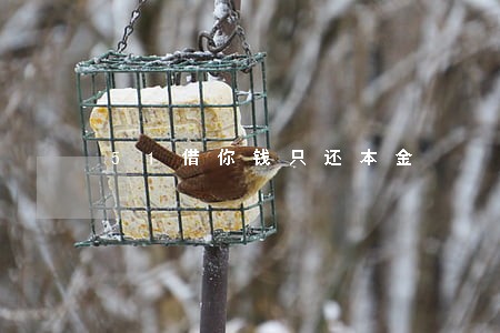 51借你钱只还本金