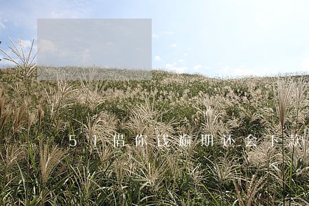 51借你钱逾期还会下款吗 51借你钱逾期还会下款吗