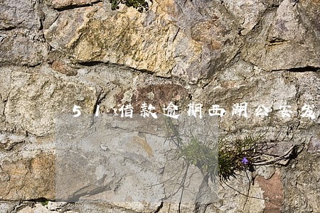 51借款逾期西湖公安发短信 51借款逾期西湖公安发短信