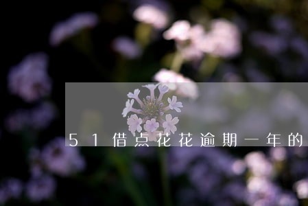 51借点花花逾期一年的 51借点花花逾期一年的