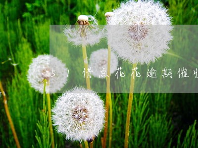 51借点花花逾期催收