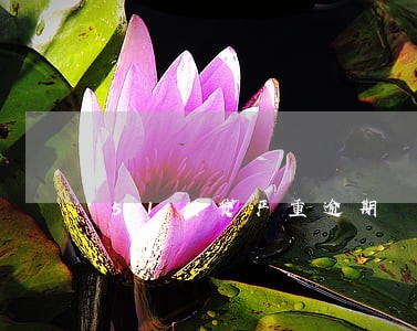 51借贷严重逾期 51借贷严重逾期