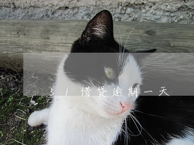 51借贷逾期一天 51借贷逾期一天