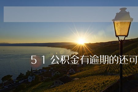 51公积金有逾期的还可以货款吗