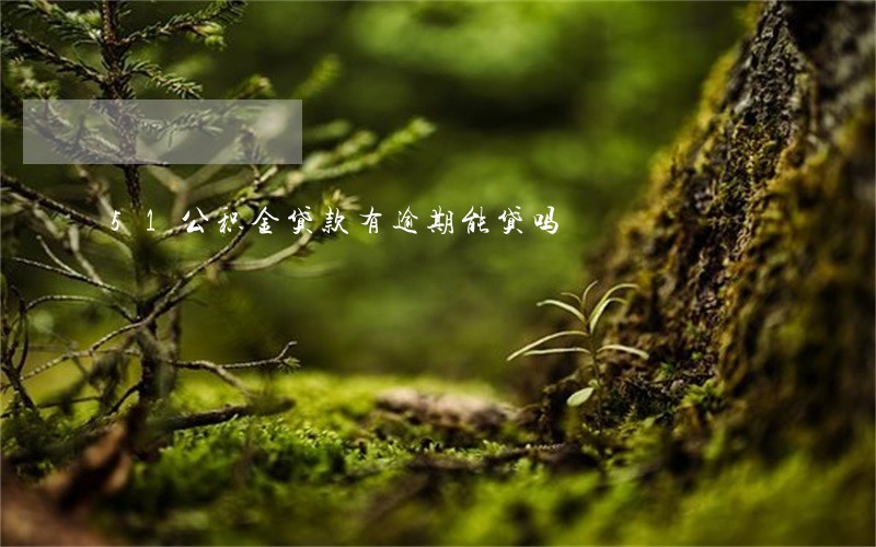 51公积金贷款有逾期能贷吗 51公积金贷款有逾期能贷吗