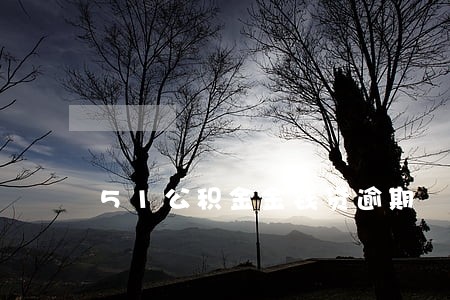 51公积金金钱贷逾期 51公积金金钱贷逾期