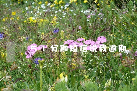 51分期短信说我逾期 51分期短信说我逾期