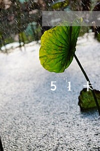 51卡宝逾期一天会征信吗