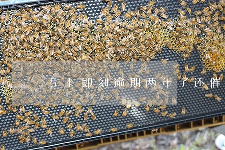 51即刻逾期两年了还催 51即刻逾期两年了还催