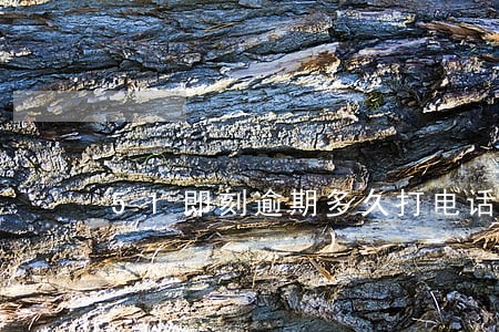 51即刻逾期多久打电话 51即刻逾期多久打电话