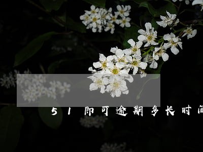 51即可逾期多长时间上门 51即可逾期多长时间上门