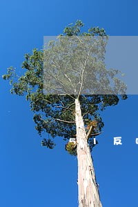 51反呗逾期上门 51反呗逾期上门