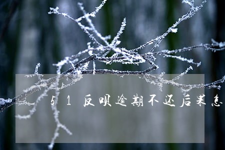 51反呗逾期不还后果怎样 51反呗逾期不还后果怎样