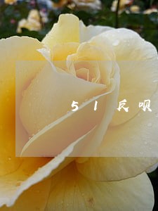 51反呗逾期有上门过吗 51反呗逾期有上门过吗