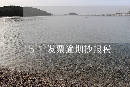 51发票逾期抄报税 51发票逾期抄报税