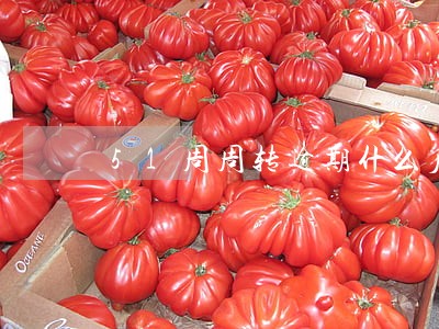 51周周转逾期什么后果 51周周转逾期什么后果