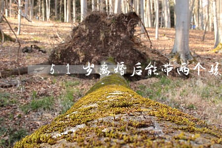 51岁离婚后能带两个孩子吗 51岁离婚后能带两个孩子吗