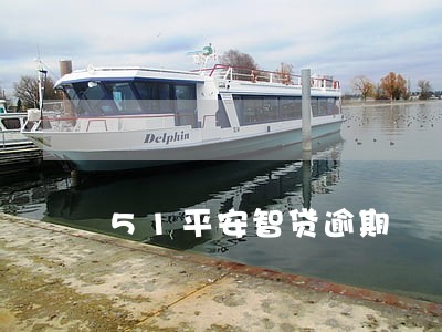 51平安智贷逾期 51平安智贷逾期
