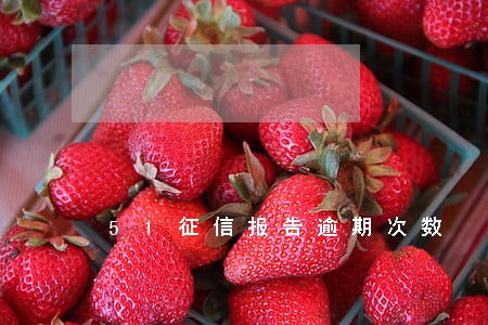 51征信报告逾期次数 51征信报告逾期次数