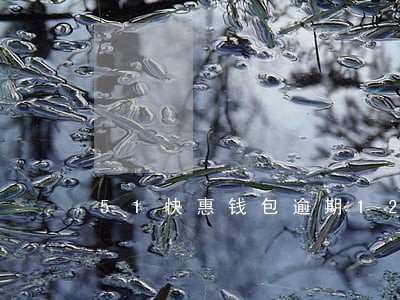 51快惠钱包逾期12天 51快惠钱包逾期12天