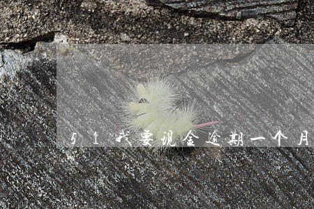 51我要现金逾期一个月 51我要现金逾期一个月