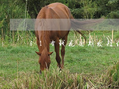 51有钱花逾期发短信通知 51有钱花逾期发短信通知
