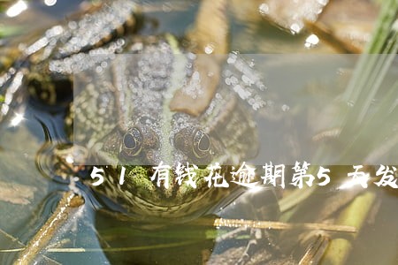 51有钱花逾期第5天发短信 51有钱花逾期第5天发短信