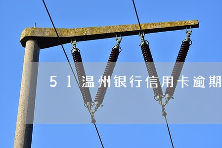 51温州银行信用卡逾期 51温州银行信用卡逾期