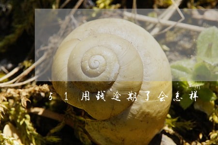 51用钱逾期了会怎样 51用钱逾期了会怎样