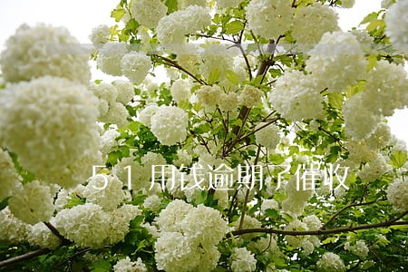 51用钱逾期了催收 51用钱逾期了催收