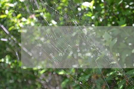 51用钱逾期怎么扣钱 51用钱逾期怎么扣钱