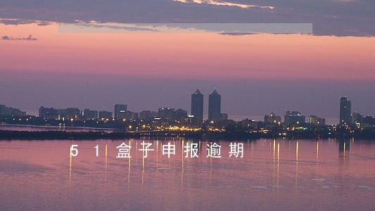 51盒子申报逾期