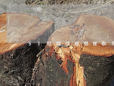 51短期贷逾期催收手段 51短期贷逾期催收手段