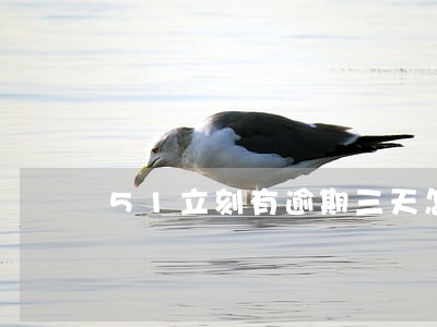 51立刻有逾期三天怎么 51立刻有逾期三天怎么