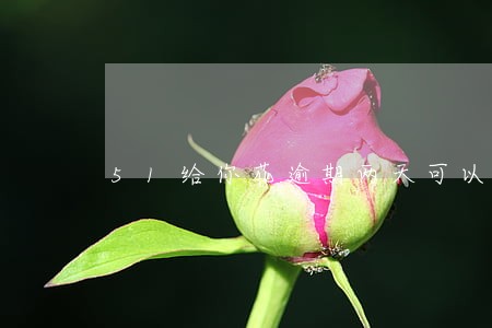51给你花逾期两天可以吗 51给你花逾期两天可以吗
